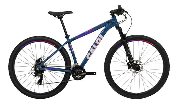 Bicicleta Mtb Aro 29 Caloi Comp 24v Azul Tam17 A26